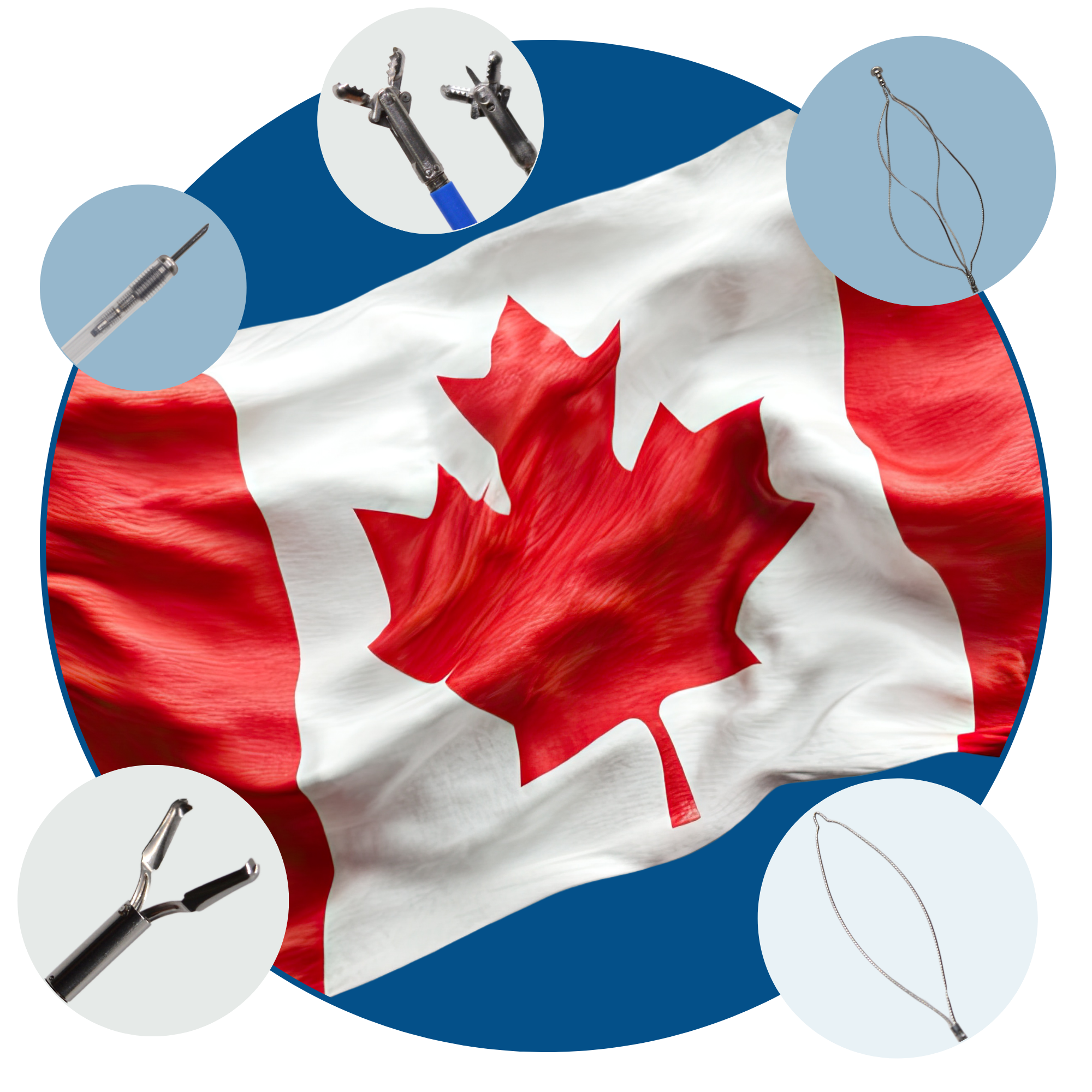 Canadian Flag showing GI Supplies in various floating bubbles around the flag.
