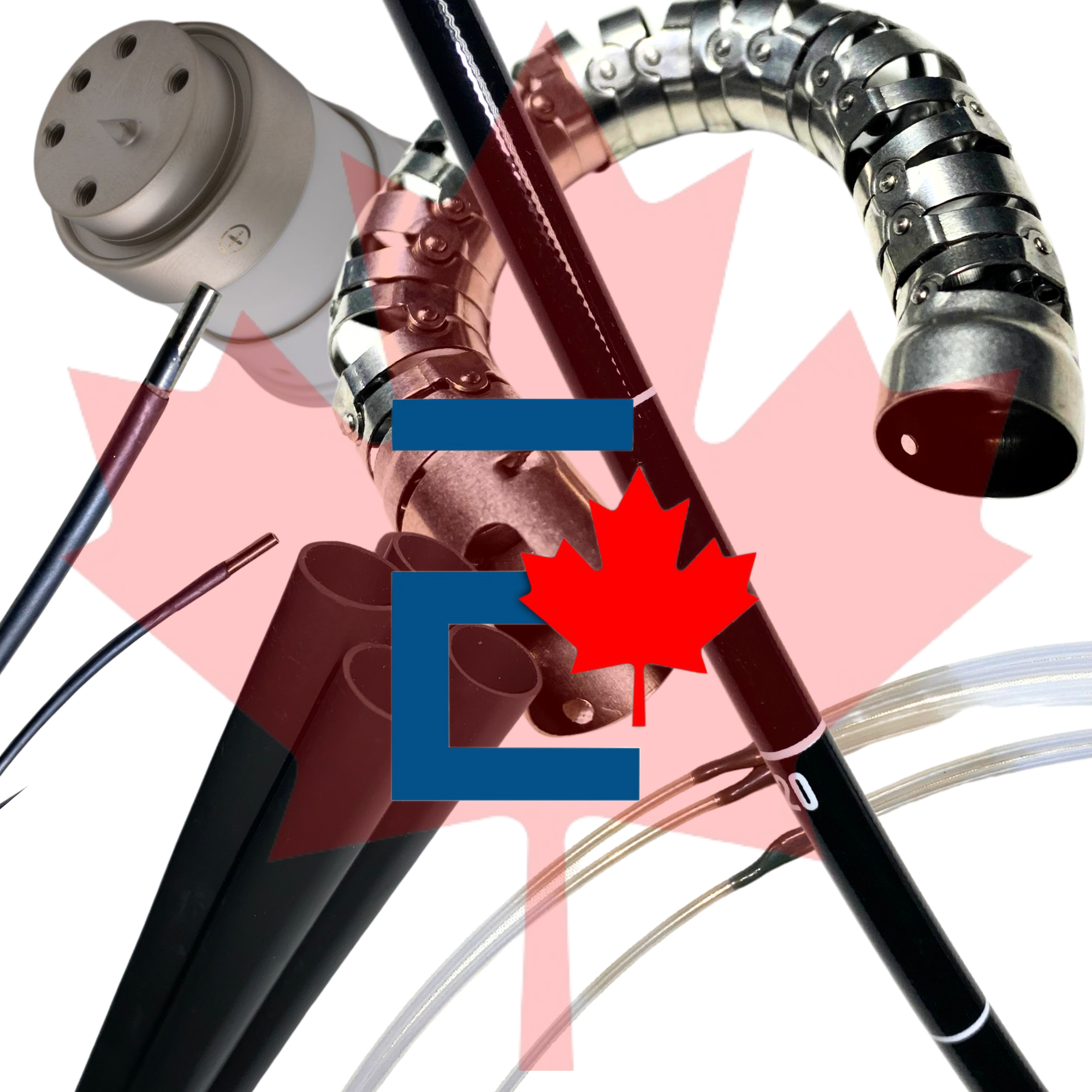 Endoscopy Parts with a Canadian Maple Leaf faded above it with the Endoch Medical favicon on top.